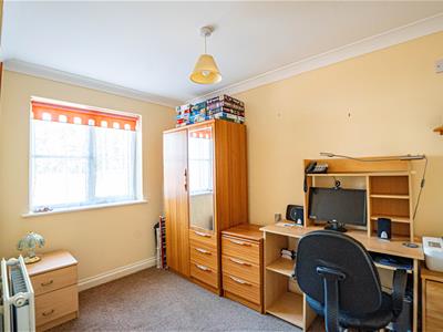 Picture 7